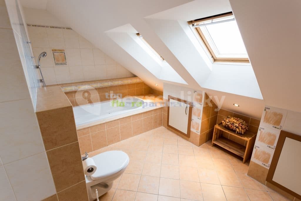 Pronájem bytu 5+kk 240 m², Přemyslovská, Praha, Praha Pronájem bytu 5+kk 240 m², Přemyslovská, Praha, Praha