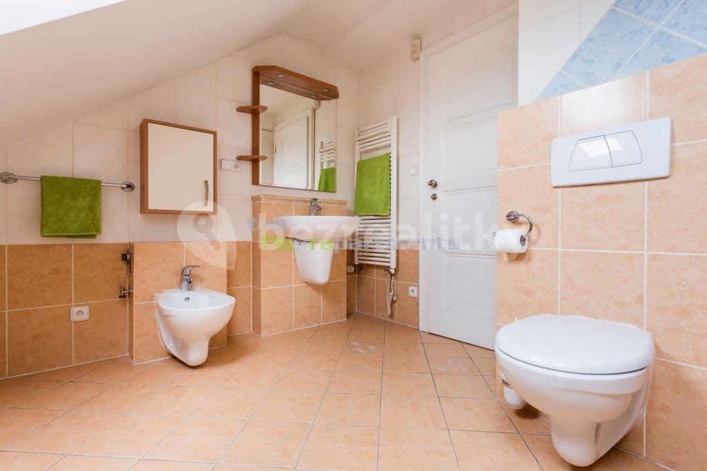 Pronájem bytu 5+kk 240 m², Přemyslovská, Praha, Praha Pronájem bytu 5+kk 240 m², Přemyslovská, Praha, Praha
