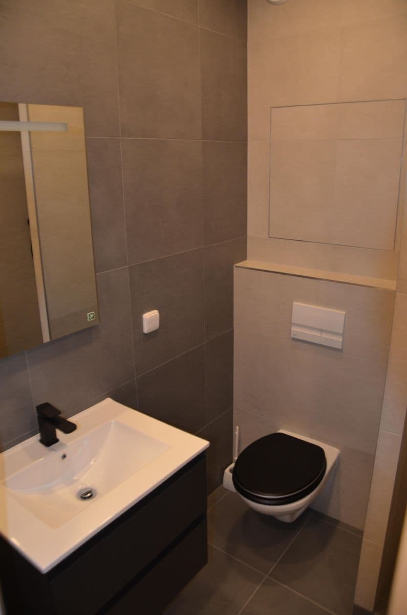 Pronájem bytu 1+kk 34 m², V Újezdech, Brno, Jihomoravský kraj Pronájem bytu 1+kk 34 m², V Újezdech, Brno, Jihomoravský kraj