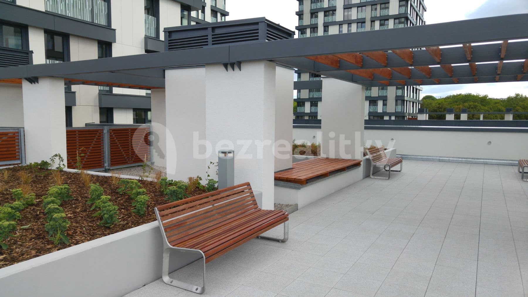 Pronájem bytu 1+kk 57 m², Olšanská, Praha, Praha Pronájem bytu 1+kk 57 m², Olšanská, Praha, Praha