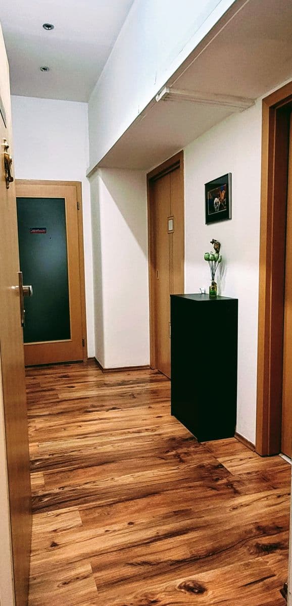 Pronájem bytu 2+kk 54 m², Argentinská, Praha, Praha Pronájem bytu 2+kk 54 m², Argentinská, Praha, Praha