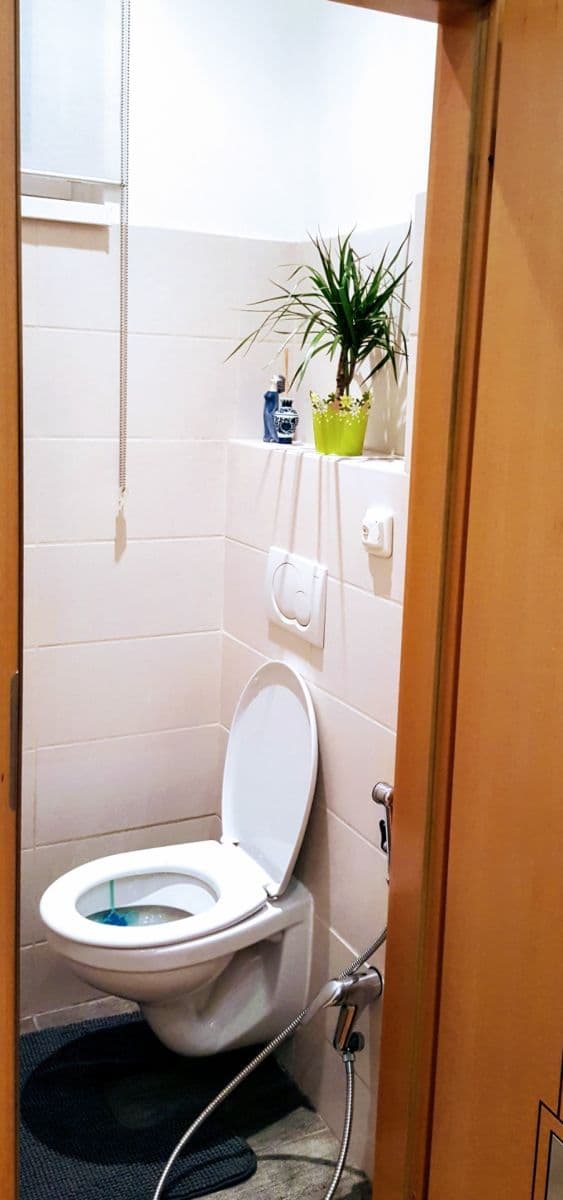 Pronájem bytu 2+kk 54 m², Argentinská, Praha, Praha Pronájem bytu 2+kk 54 m², Argentinská, Praha, Praha
