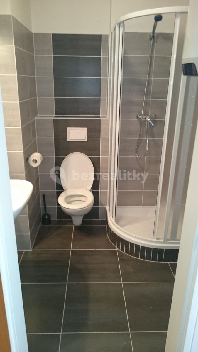 Pronájem bytu 1+kk 27 m², Bučkova, Brno, Jihomoravský kraj Pronájem bytu 1+kk 27 m², Bučkova, Brno, Jihomoravský kraj