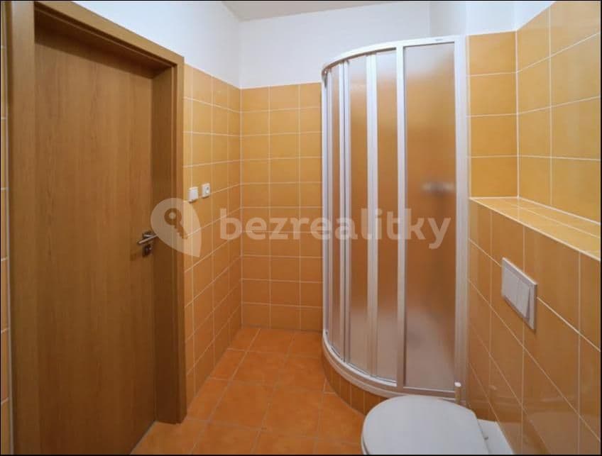 Pronájem bytu 1+kk 25 m², K Říčanům, Praha, Praha Pronájem bytu 1+kk 25 m², K Říčanům, Praha, Praha