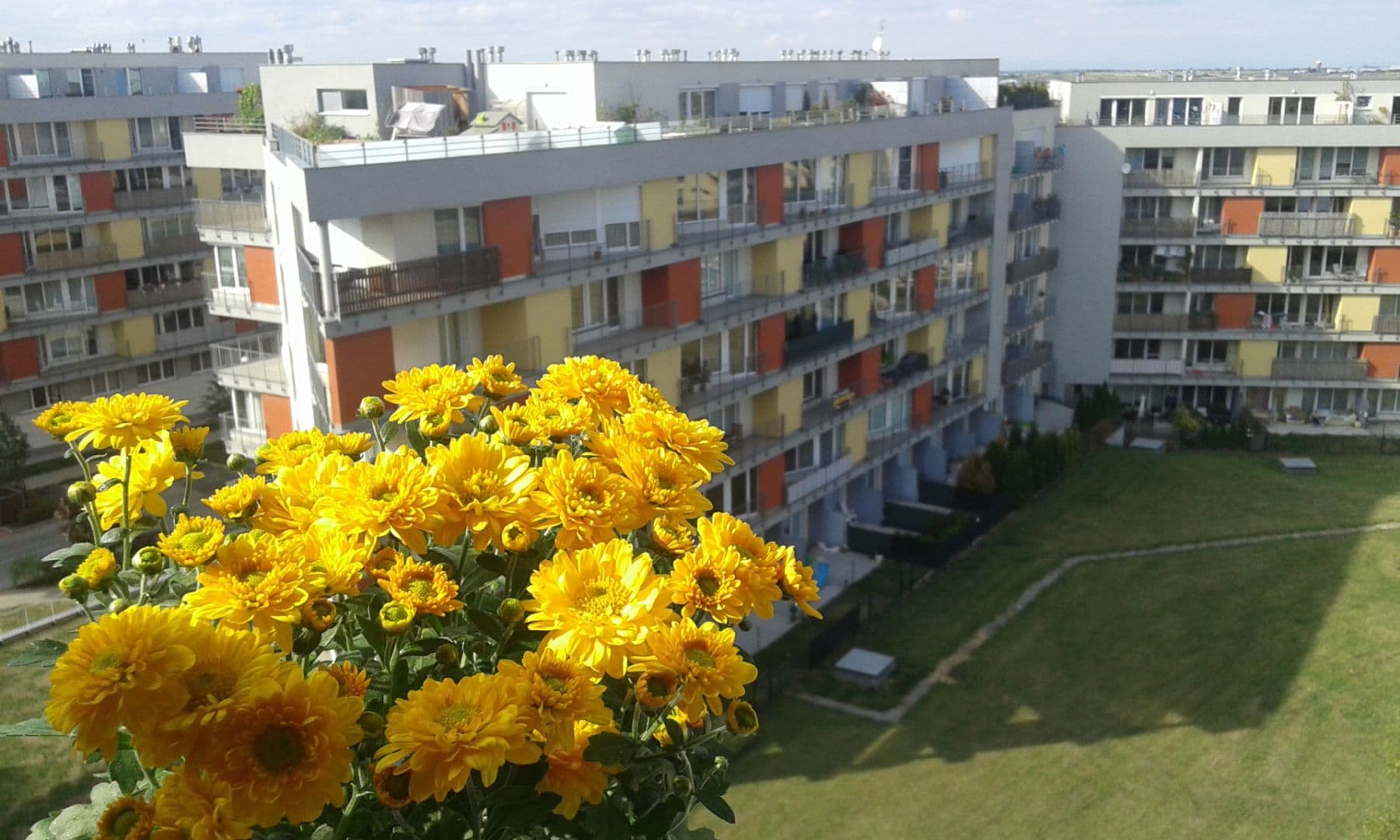 Pronájem bytu 1+kk 32 m², Míšovická, Praha, Praha Pronájem bytu 1+kk 32 m², Míšovická, Praha, Praha