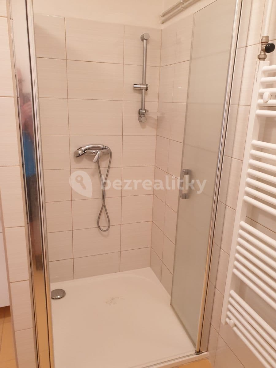 Pronájem bytu 1+kk 36 m², Viniční, Brno, Jihomoravský kraj Pronájem bytu 1+kk 36 m², Viniční, Brno, Jihomoravský kraj