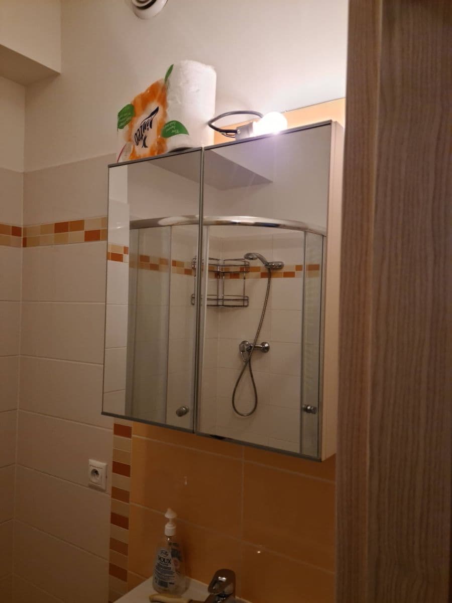 Pronájem bytu 1+kk 33 m², Freyova, Praha, Praha Pronájem bytu 1+kk 33 m², Freyova, Praha, Praha