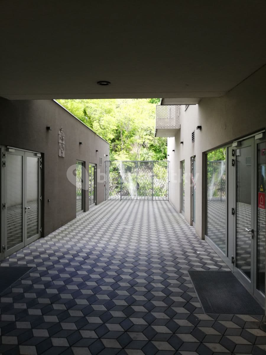 Pronájem bytu 1+kk 31 m², Koněvova, Praha, Praha Pronájem bytu 1+kk 31 m², Koněvova, Praha, Praha