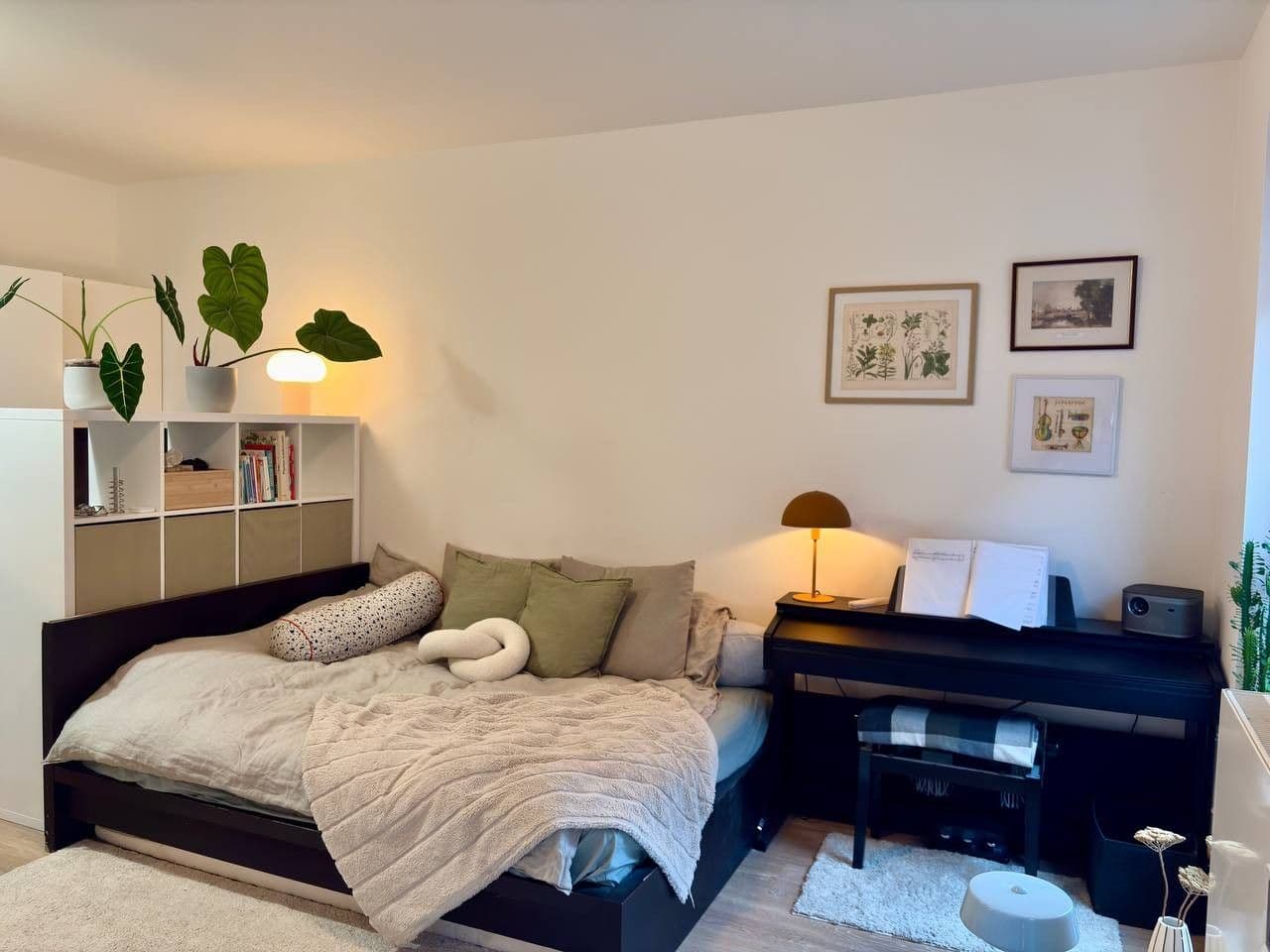 Pronájem bytu 1+kk 31 m², Koněvova, Praha, Praha Pronájem bytu 1+kk 31 m², Koněvova, Praha, Praha