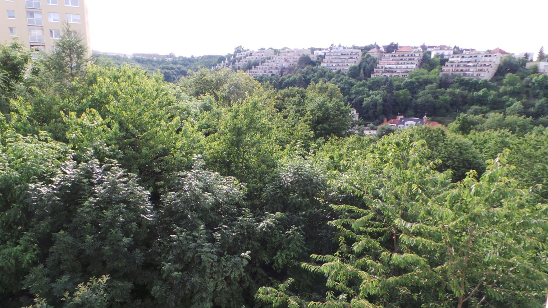 Pronájem bytu 2+kk 51 m², Černochova, Praha, Praha Pronájem bytu 2+kk 51 m², Černochova, Praha, Praha