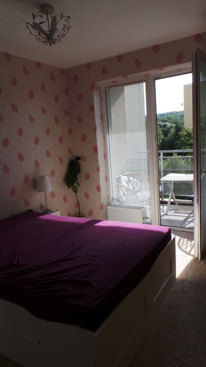 Pronájem bytu 2+kk 51 m², Černochova, Praha, Praha Pronájem bytu 2+kk 51 m², Černochova, Praha, Praha