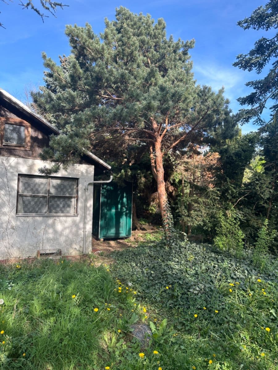 Pronájem chaty, chalupy 400 m², pozemek 500 m², Zlatnice, Praha, Praha Pronájem chaty, chalupy 400 m², pozemek 500 m², Zlatnice, Praha, Praha