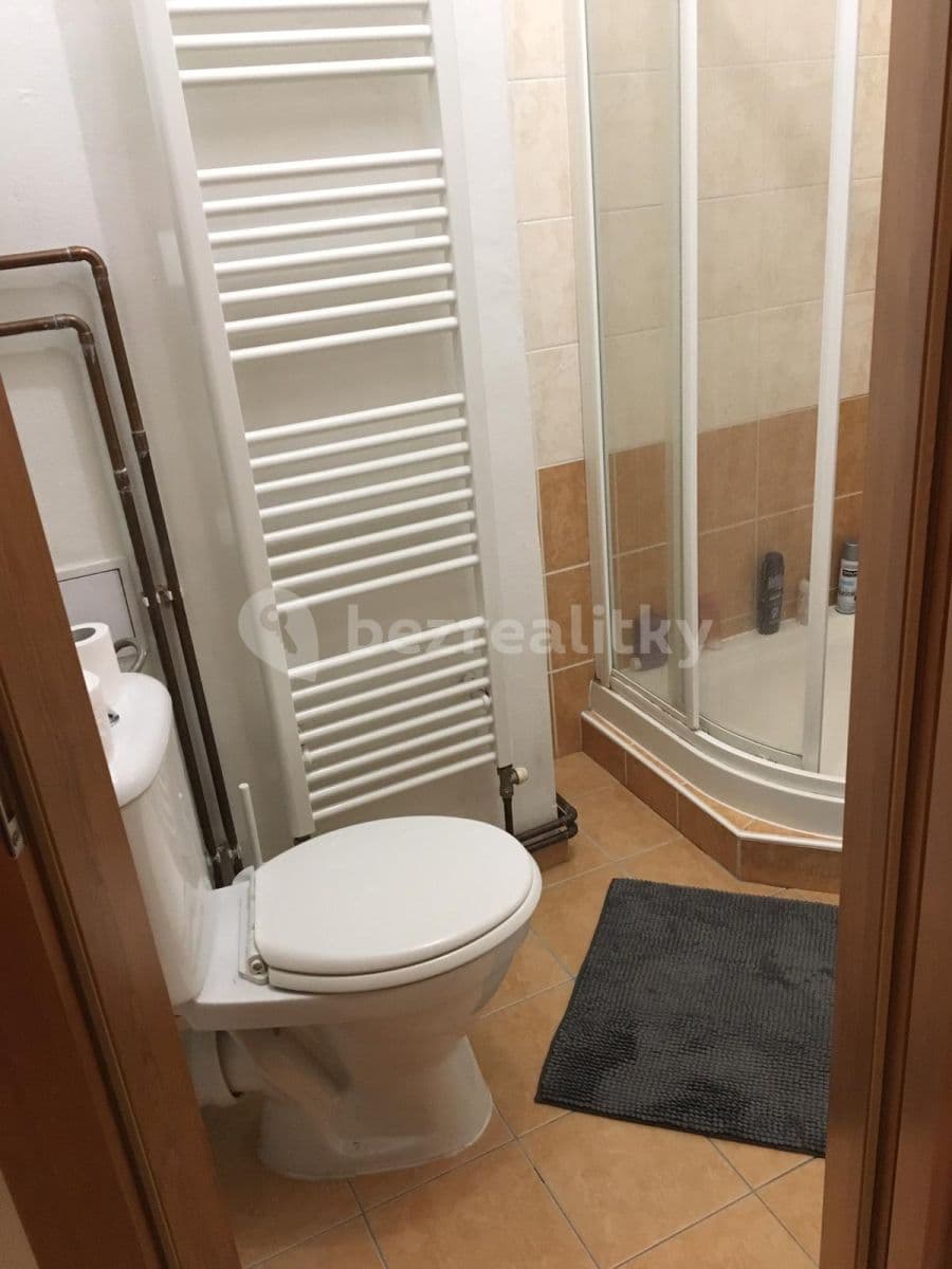 Pronájem bytu 1+1 45 m², Starodružiníků, Olomouc, Olomoucký kraj Pronájem bytu 1+1 45 m², Starodružiníků, Olomouc, Olomoucký kraj