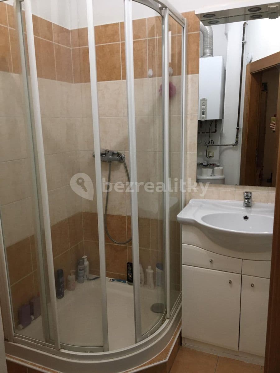 Pronájem bytu 1+1 45 m², Starodružiníků, Olomouc, Olomoucký kraj Pronájem bytu 1+1 45 m², Starodružiníků, Olomouc, Olomoucký kraj