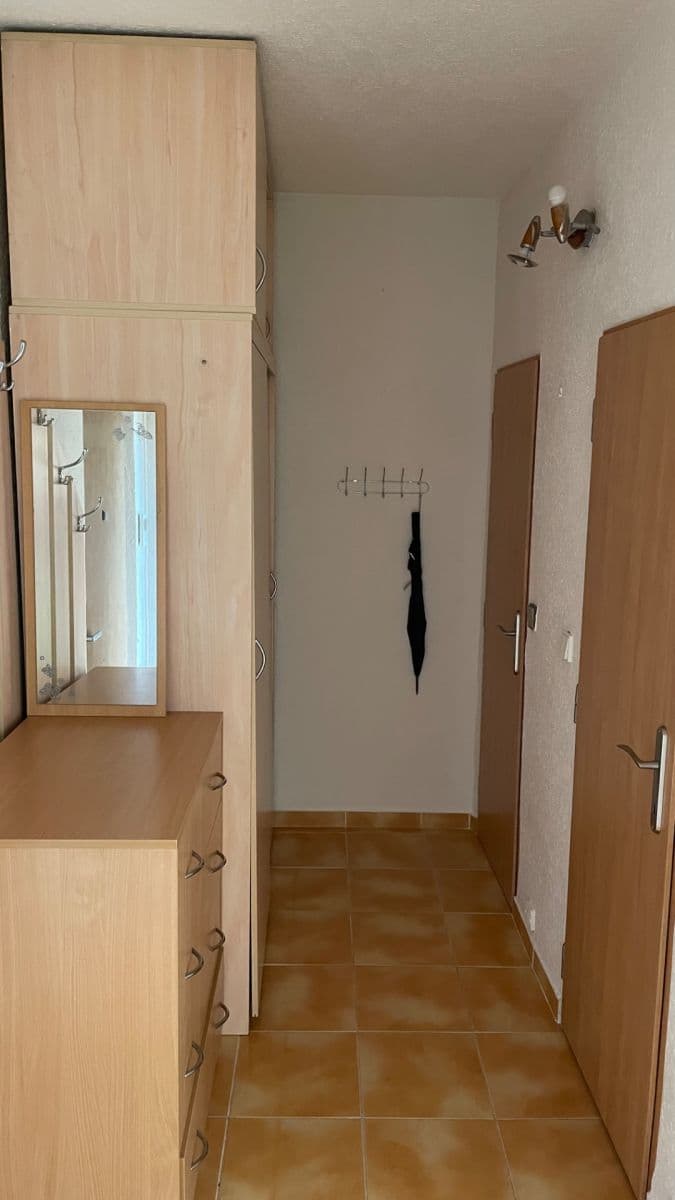 Pronájem bytu 1+1 39 m², Mánesova, Ostrava, Moravskoslezský kraj Pronájem bytu 1+1 39 m², Mánesova, Ostrava, Moravskoslezský kraj