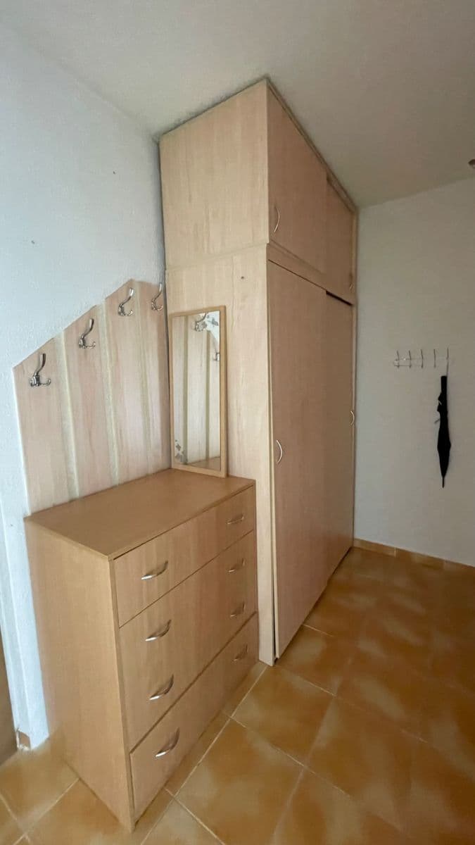 Pronájem bytu 1+1 39 m², Mánesova, Ostrava, Moravskoslezský kraj Pronájem bytu 1+1 39 m², Mánesova, Ostrava, Moravskoslezský kraj