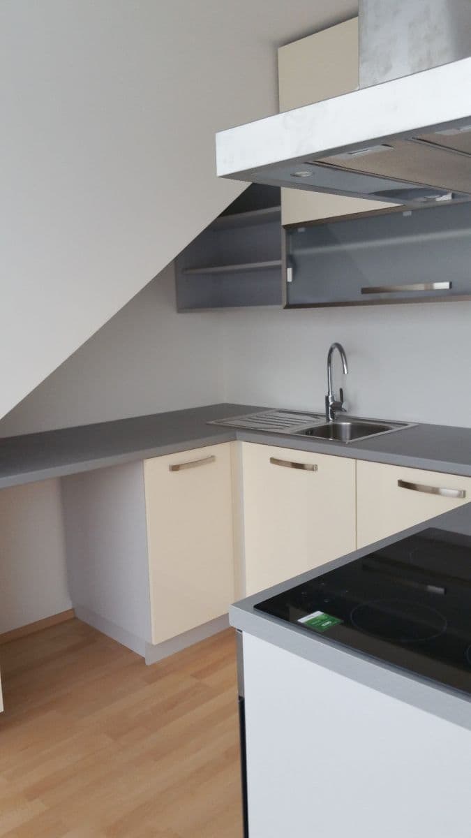 Pronájem bytu 1+1 44 m², Hutařova, Brno, Jihomoravský kraj Pronájem bytu 1+1 44 m², Hutařova, Brno, Jihomoravský kraj
