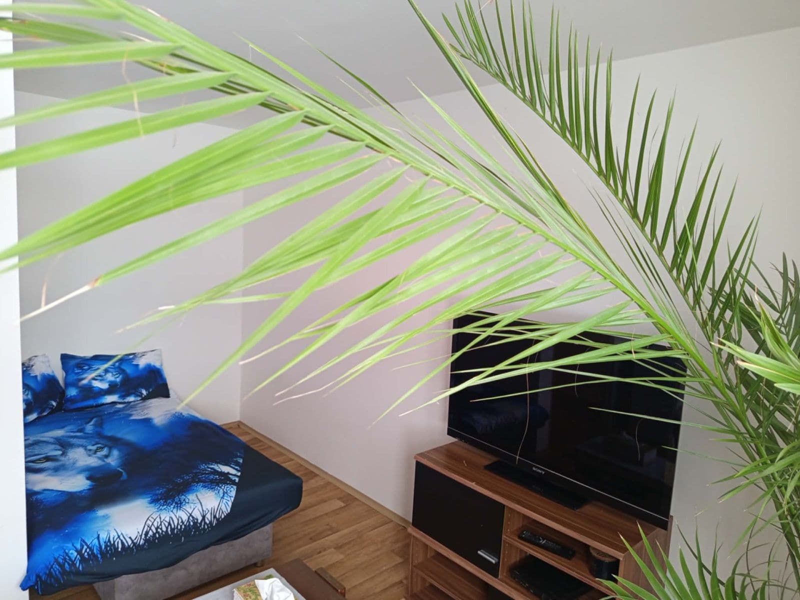 Pronájem bytu Garsoniéra 30 m², Bystřice, Středočeský kraj Pronájem bytu Garsoniéra 30 m², Bystřice, Středočeský kraj