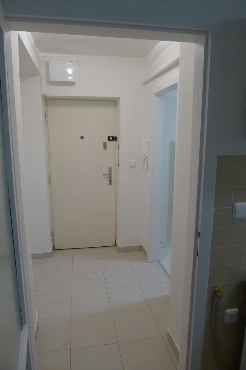 Pronájem bytu 2+1 55 m², Dvorského, Brno, Jihomoravský kraj Pronájem bytu 2+1 55 m², Dvorského, Brno, Jihomoravský kraj