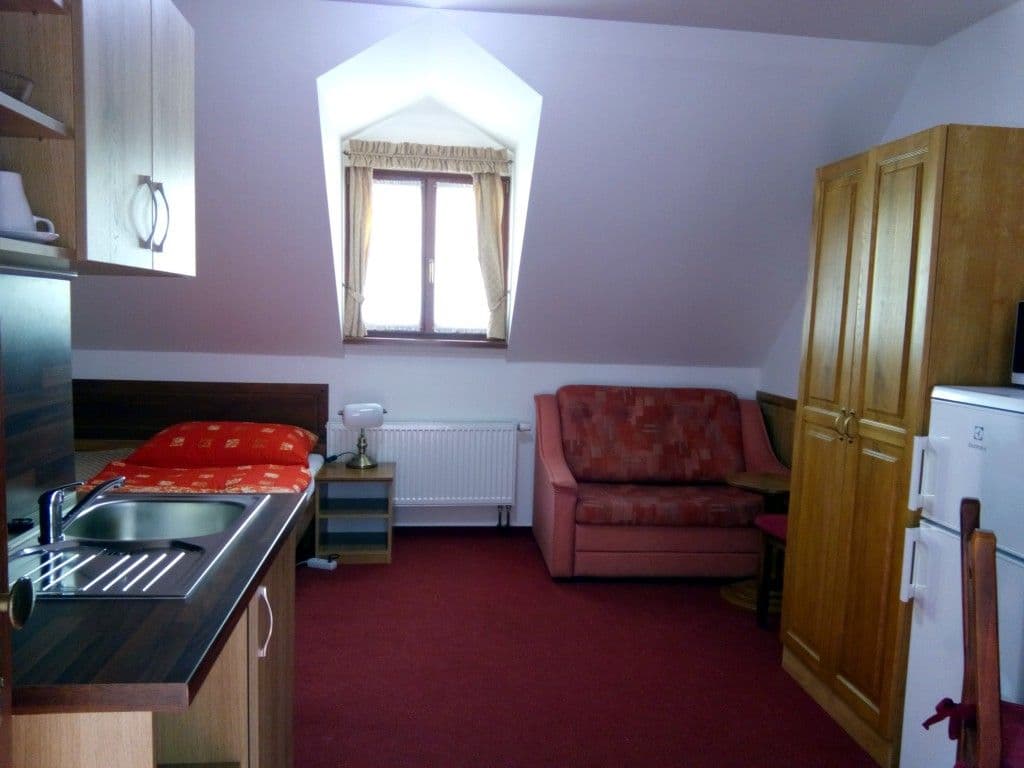 Pronájem bytu 1+kk 25 m², Na Vinohradu, Praha, Praha Pronájem bytu 1+kk 25 m², Na Vinohradu, Praha, Praha