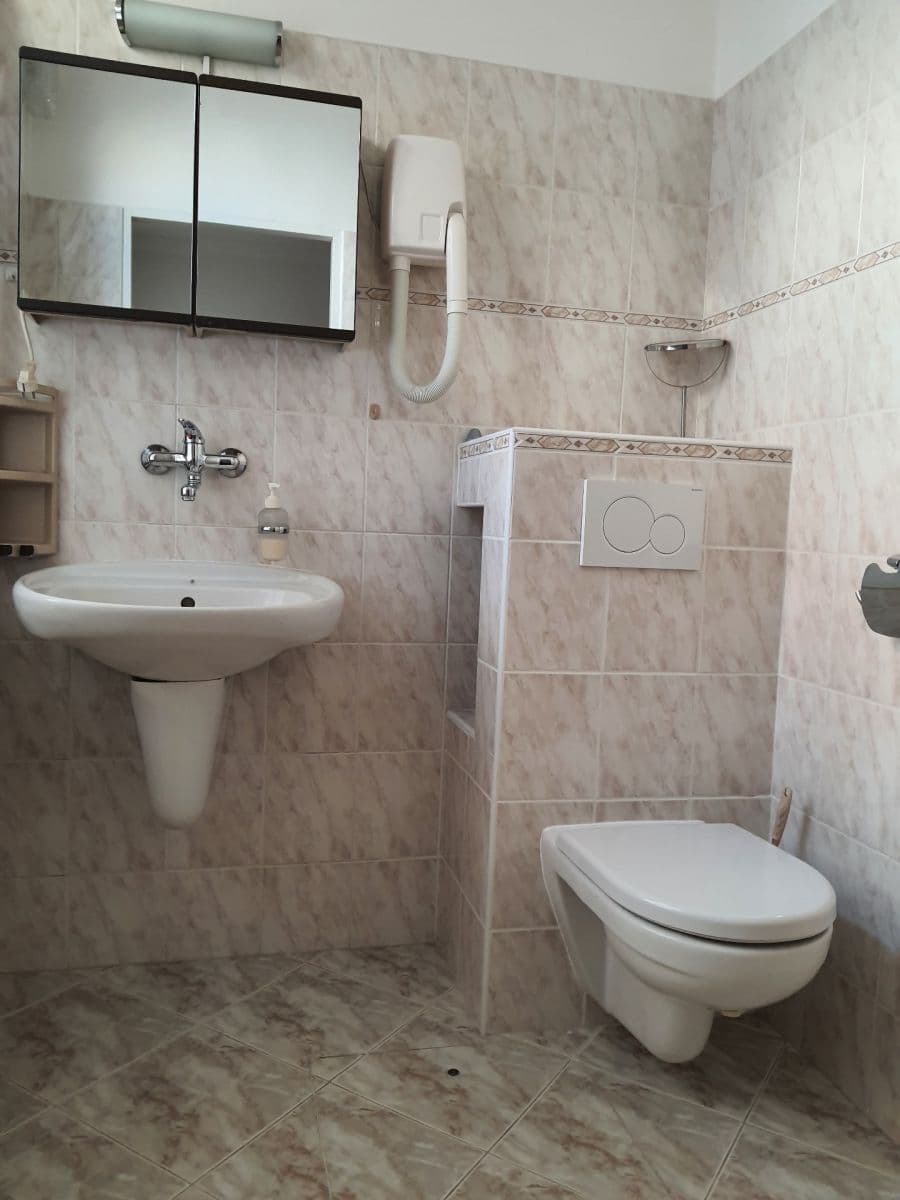 Pronájem bytu 1+kk 25 m², Na Vinohradu, Praha, Praha Pronájem bytu 1+kk 25 m², Na Vinohradu, Praha, Praha