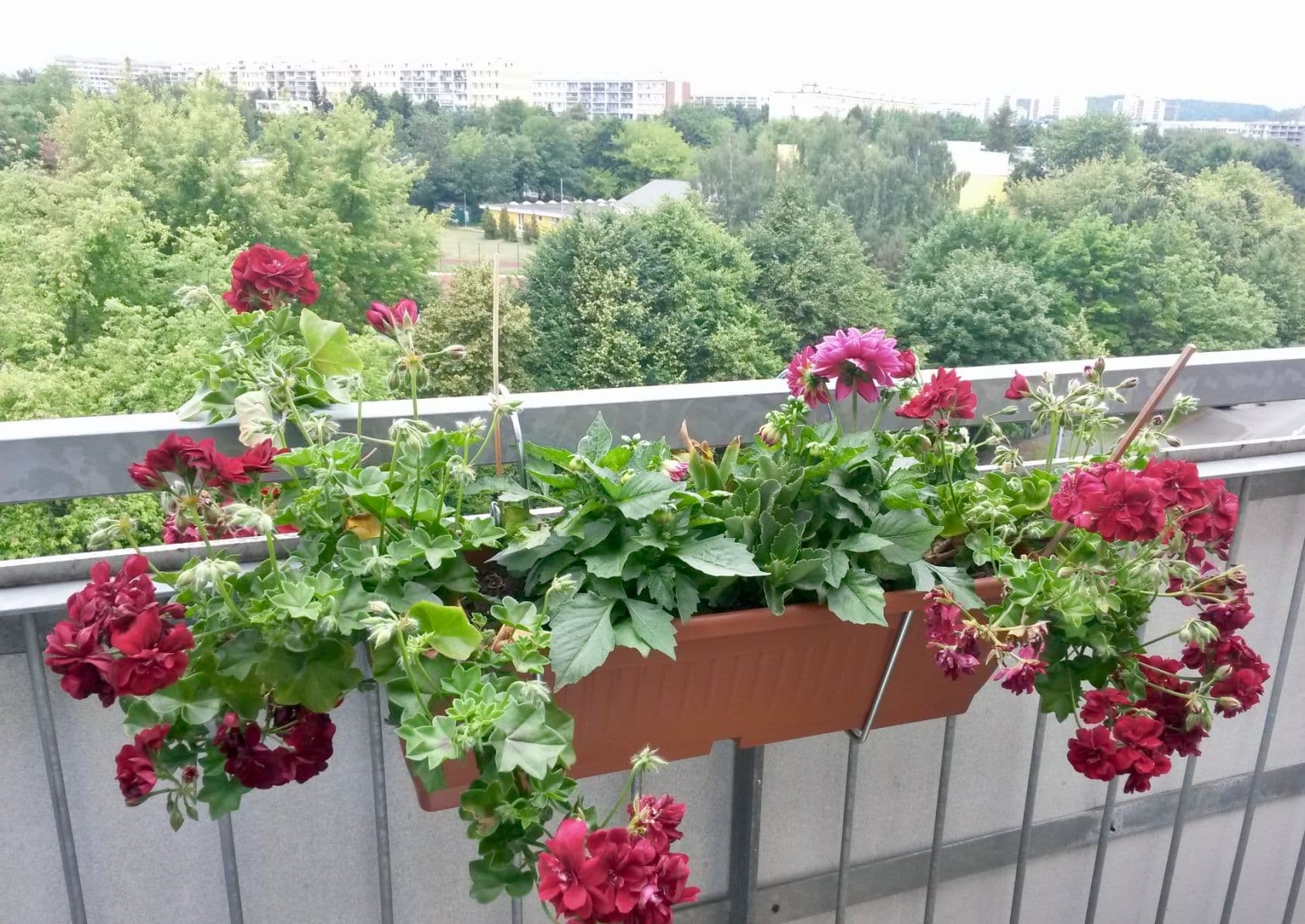 Pronájem bytu 2+kk 53 m², Zlonická, Praha, Praha Pronájem bytu 2+kk 53 m², Zlonická, Praha, Praha