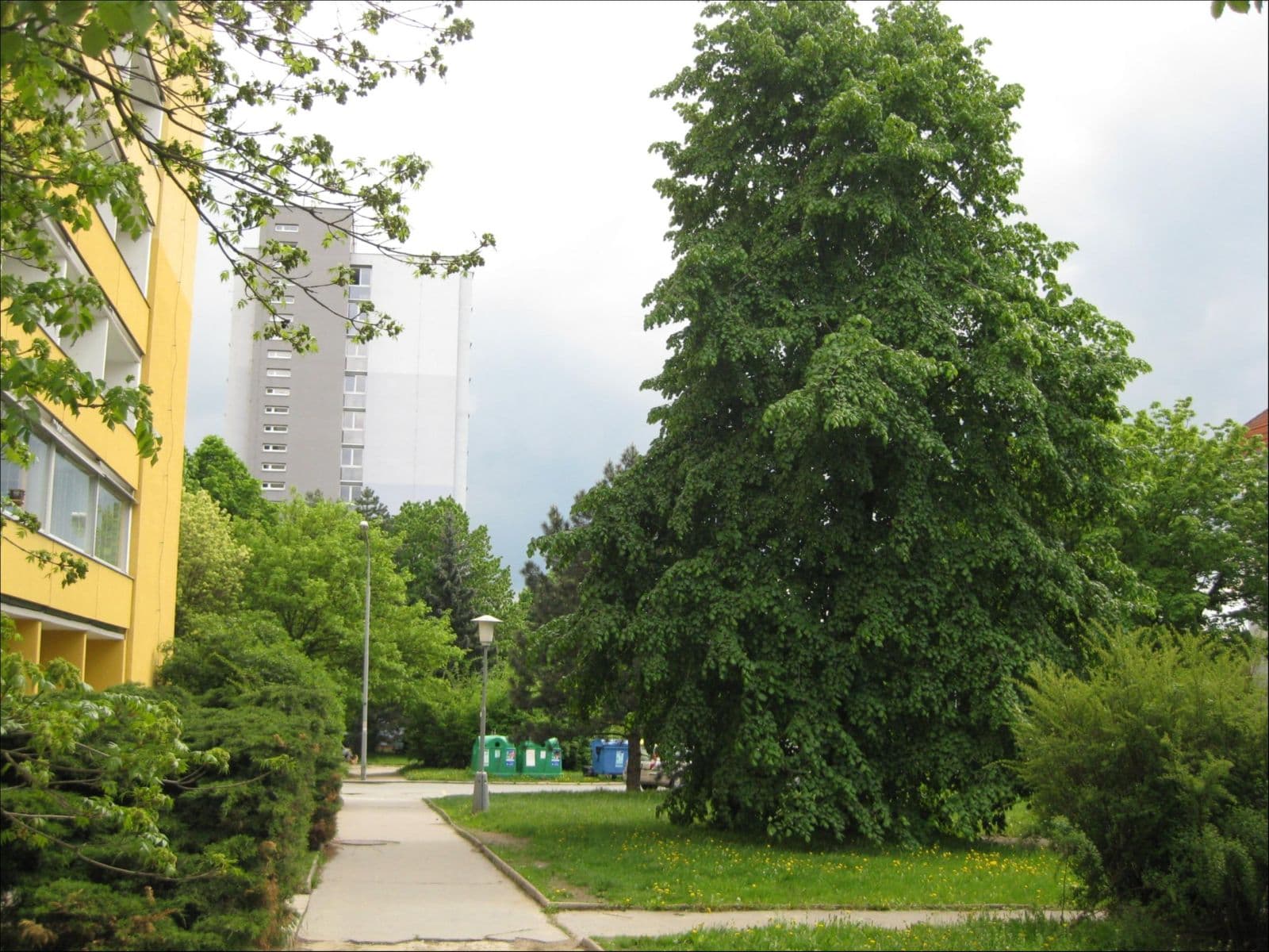 Pronájem bytu 1+kk 27 m², Voroněžská, Brno, Jihomoravský kraj Pronájem bytu 1+kk 27 m², Voroněžská, Brno, Jihomoravský kraj