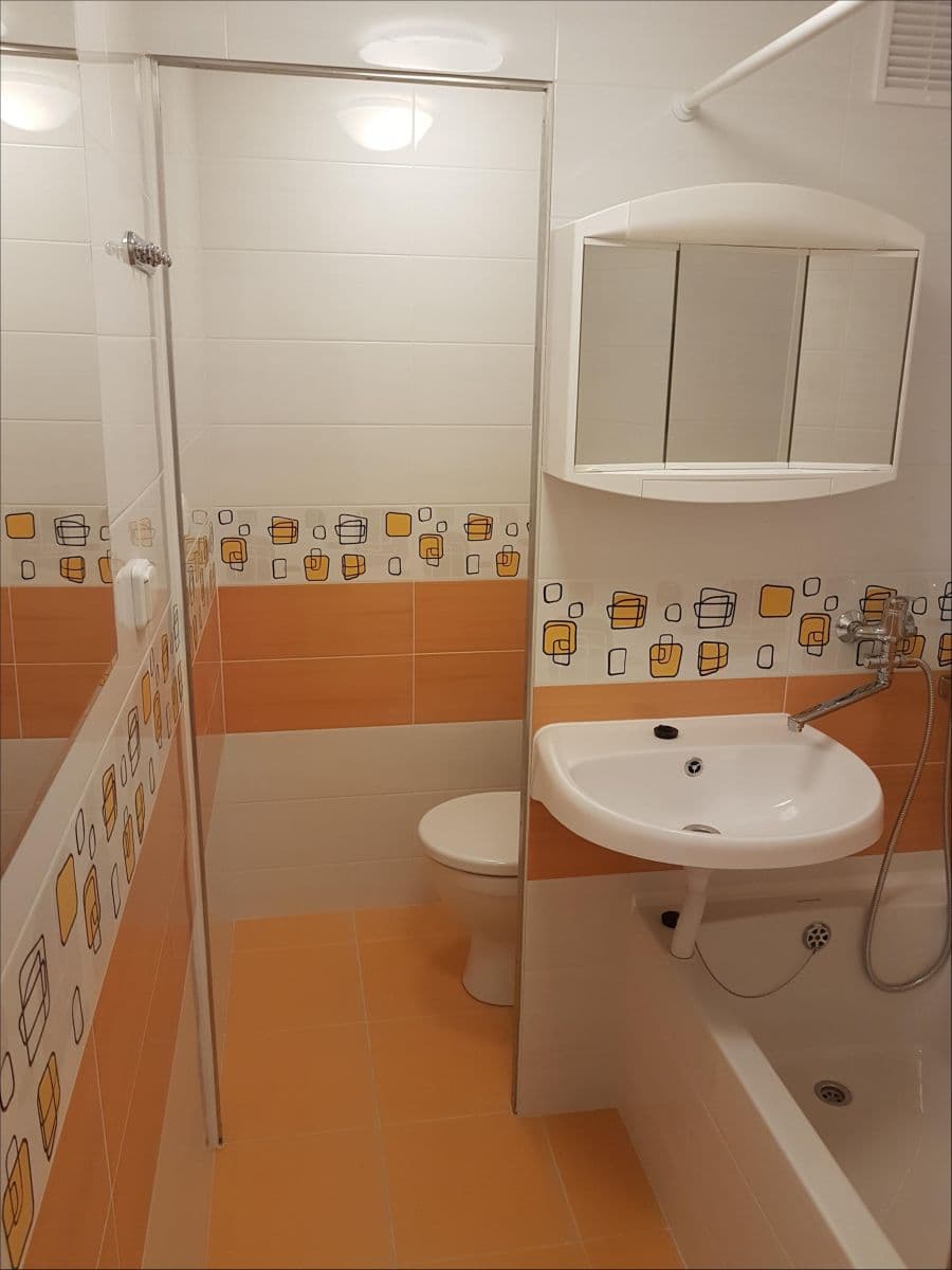 Pronájem bytu 1+kk 27 m², Voroněžská, Brno, Jihomoravský kraj Pronájem bytu 1+kk 27 m², Voroněžská, Brno, Jihomoravský kraj