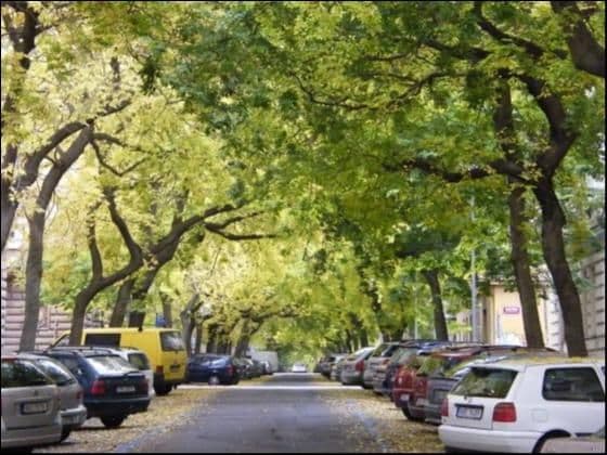 Pronájem bytu 2+kk 48 m², Lužická, Praha, Praha Pronájem bytu 2+kk 48 m², Lužická, Praha, Praha