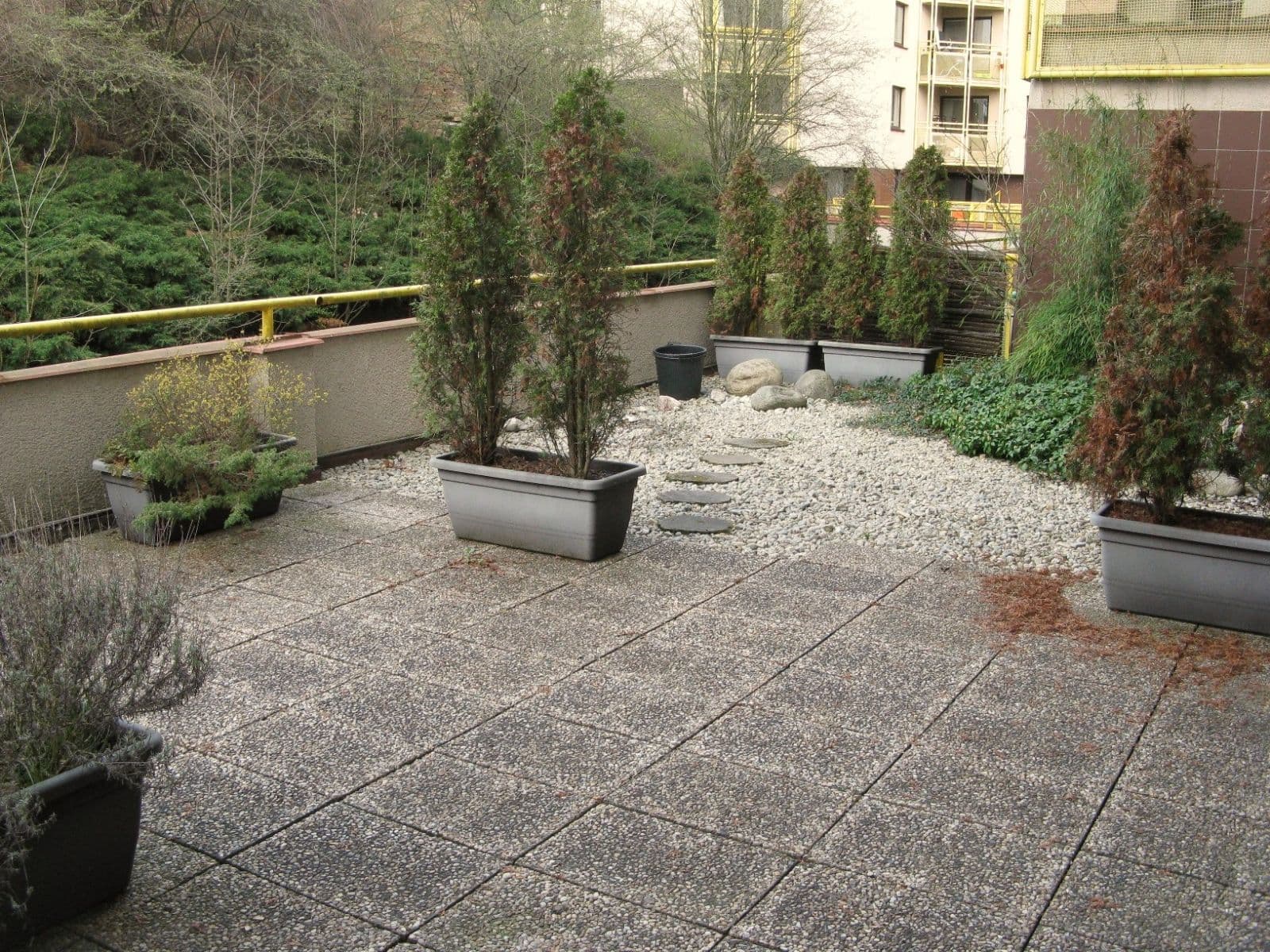 Pronájem bytu 3+kk 77 m², Ke Dvoru, Praha, Praha Pronájem bytu 3+kk 77 m², Ke Dvoru, Praha, Praha