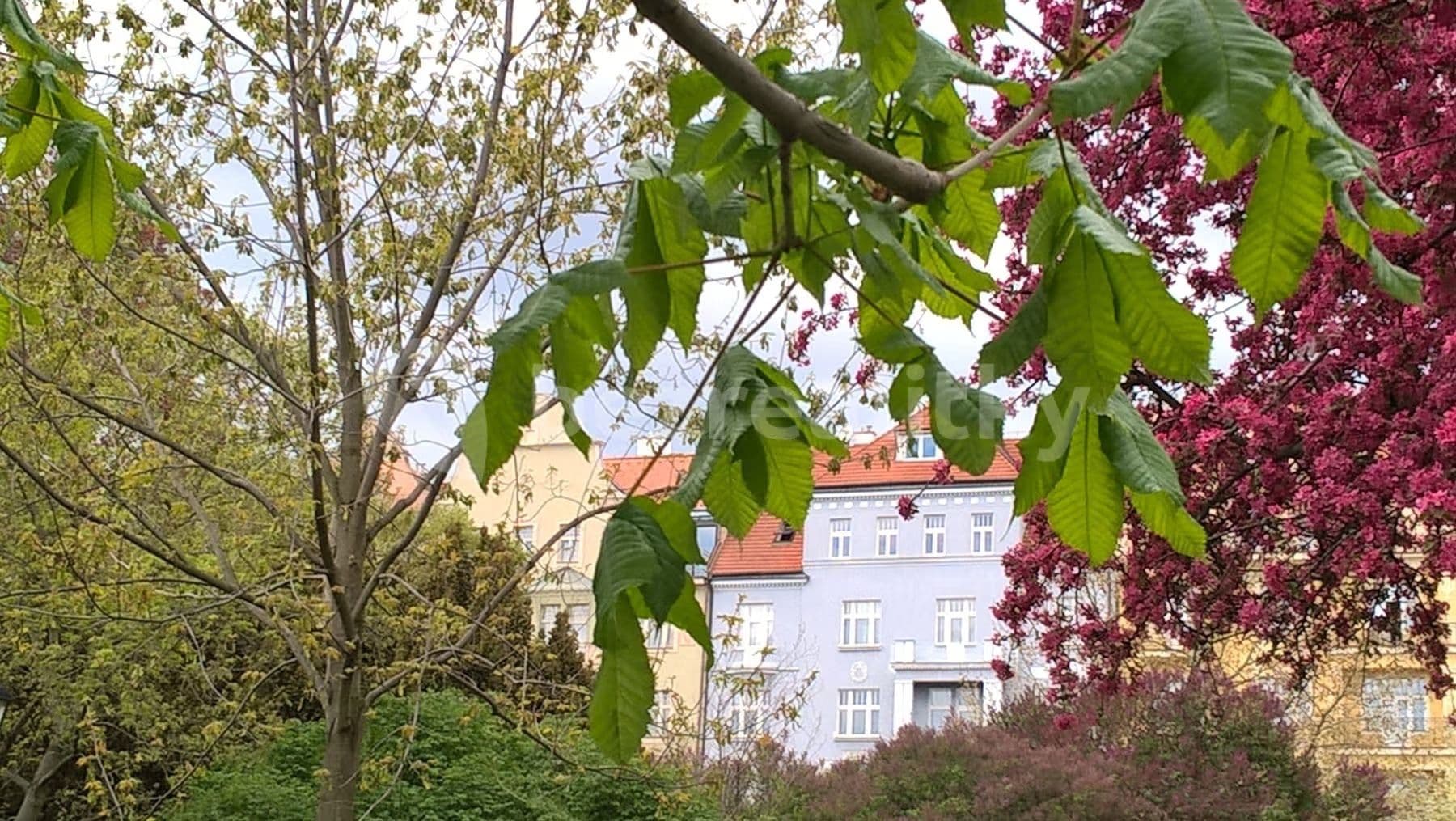 Pronájem bytu 3+1 120 m², U Havlíčkových sadů, Praha, Praha Pronájem bytu 3+1 120 m², U Havlíčkových sadů, Praha, Praha