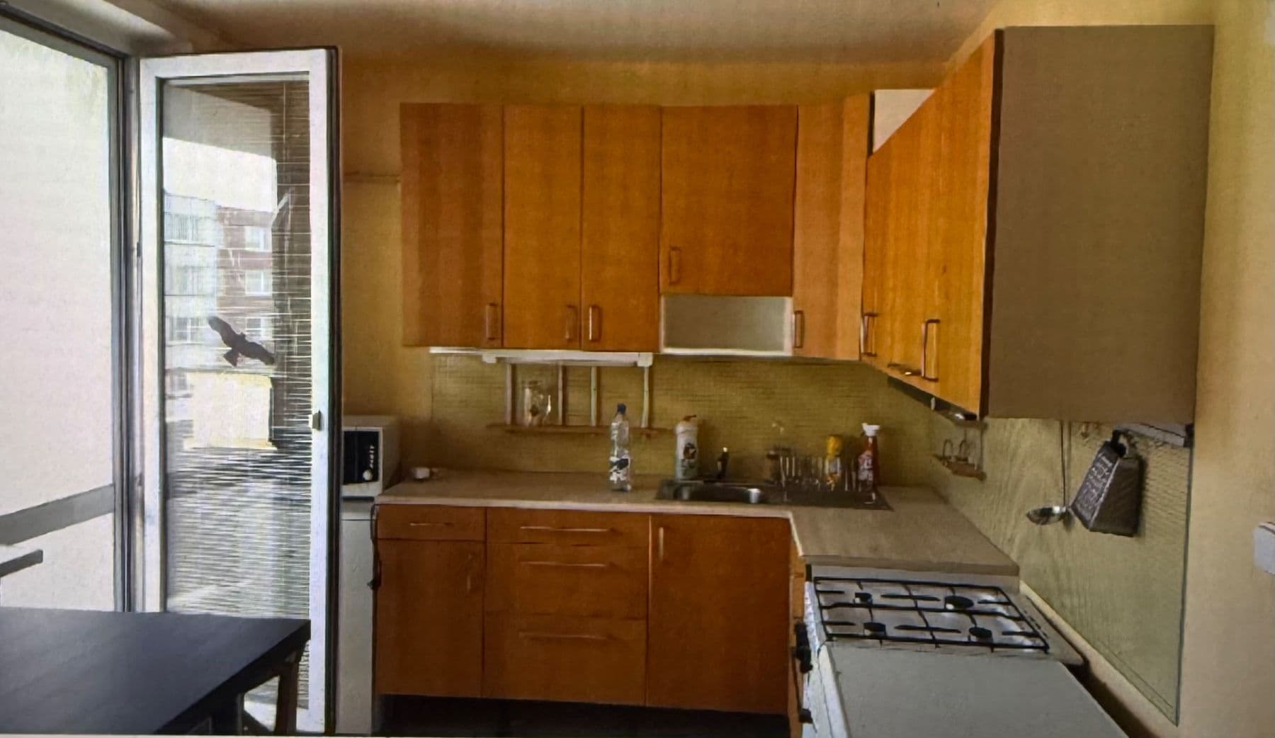 Pronájem bytu 1+1 45 m², Rerychova, Brno, Jihomoravský kraj Pronájem bytu 1+1 45 m², Rerychova, Brno, Jihomoravský kraj