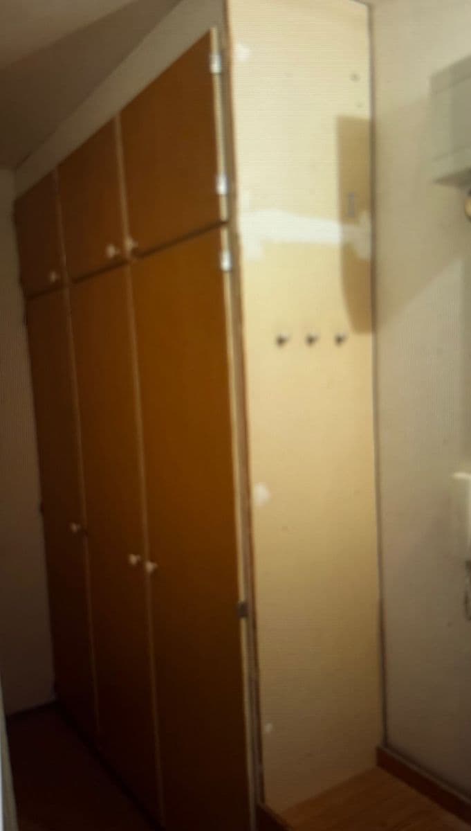Pronájem bytu 1+1 45 m², Rerychova, Brno, Jihomoravský kraj Pronájem bytu 1+1 45 m², Rerychova, Brno, Jihomoravský kraj