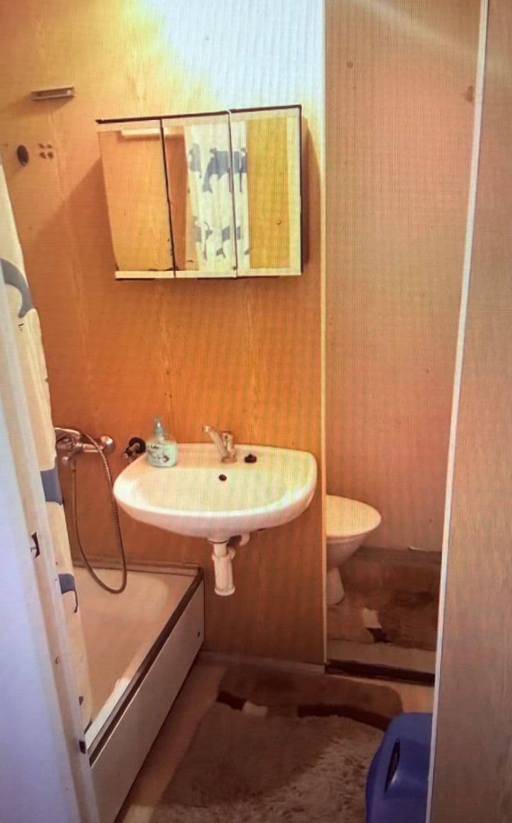 Pronájem bytu 1+1 45 m², Rerychova, Brno, Jihomoravský kraj Pronájem bytu 1+1 45 m², Rerychova, Brno, Jihomoravský kraj