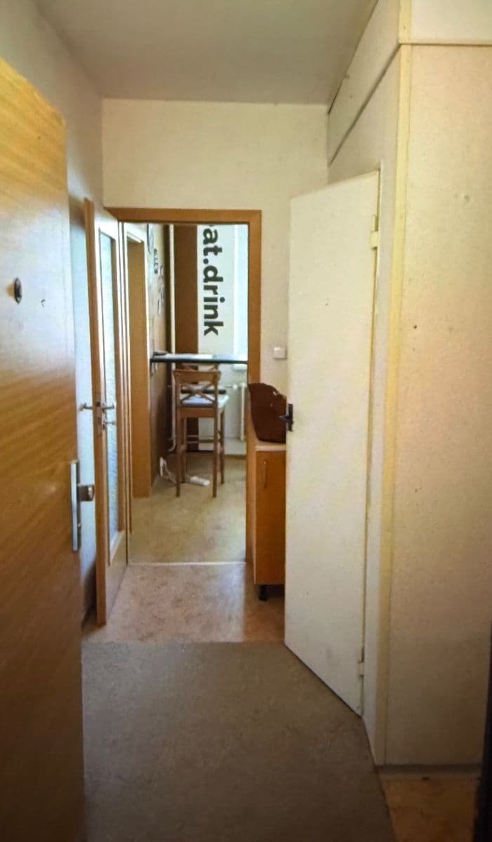 Pronájem bytu 1+1 45 m², Rerychova, Brno, Jihomoravský kraj Pronájem bytu 1+1 45 m², Rerychova, Brno, Jihomoravský kraj