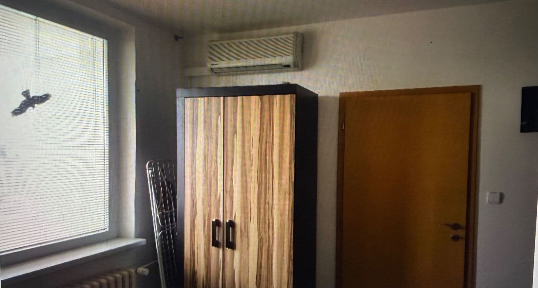 Pronájem bytu 1+1 45 m², Rerychova, Brno, Jihomoravský kraj Pronájem bytu 1+1 45 m², Rerychova, Brno, Jihomoravský kraj