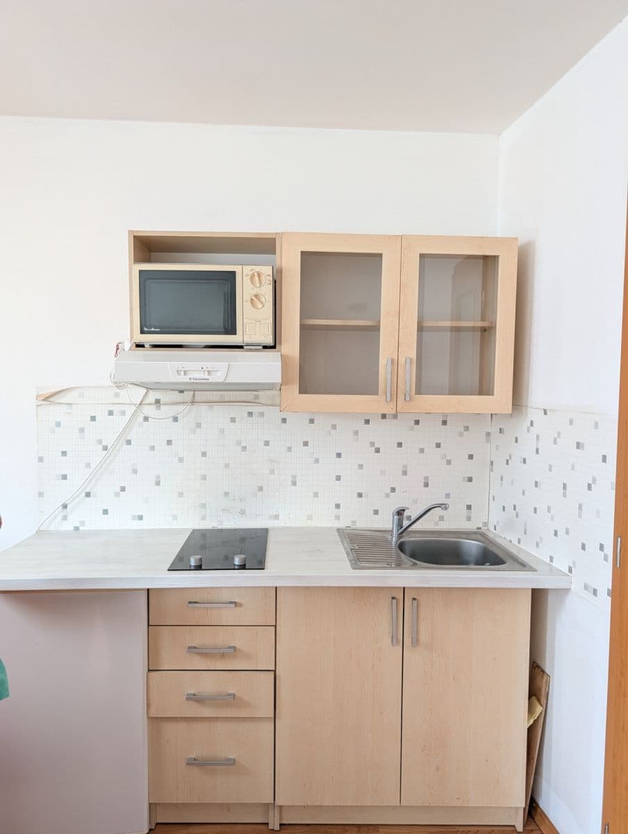 Pronájem bytu 1+kk 25 m², Pivoňkova, Brno, Jihomoravský kraj Pronájem bytu 1+kk 25 m², Pivoňkova, Brno, Jihomoravský kraj