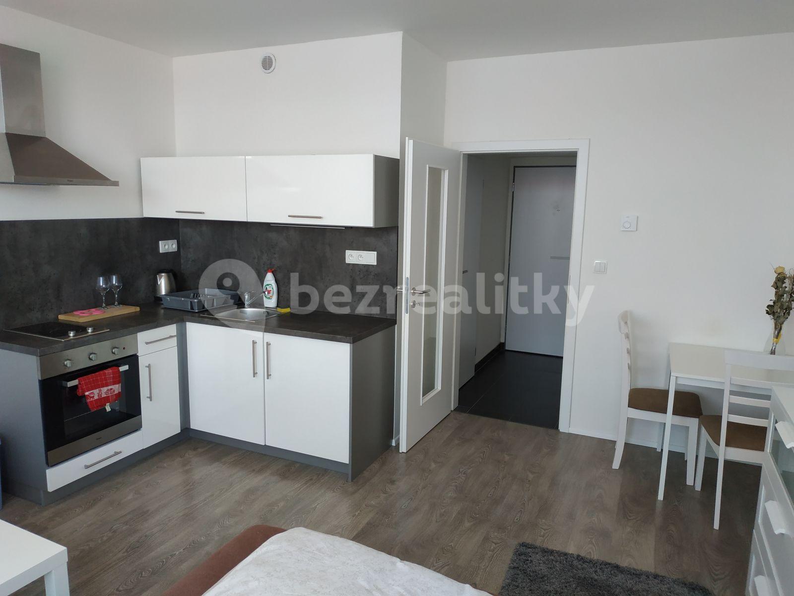 Pronájem bytu 1+kk 28 m², Bedřicha Smetany, České Budějovice, Jihočeský kraj