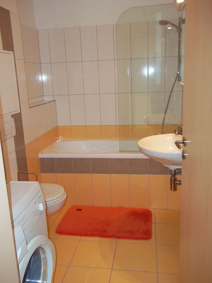 Pronájem bytu 1+kk 41 m², Česká, Jihomoravský kraj Pronájem bytu 1+kk 41 m², Česká, Jihomoravský kraj