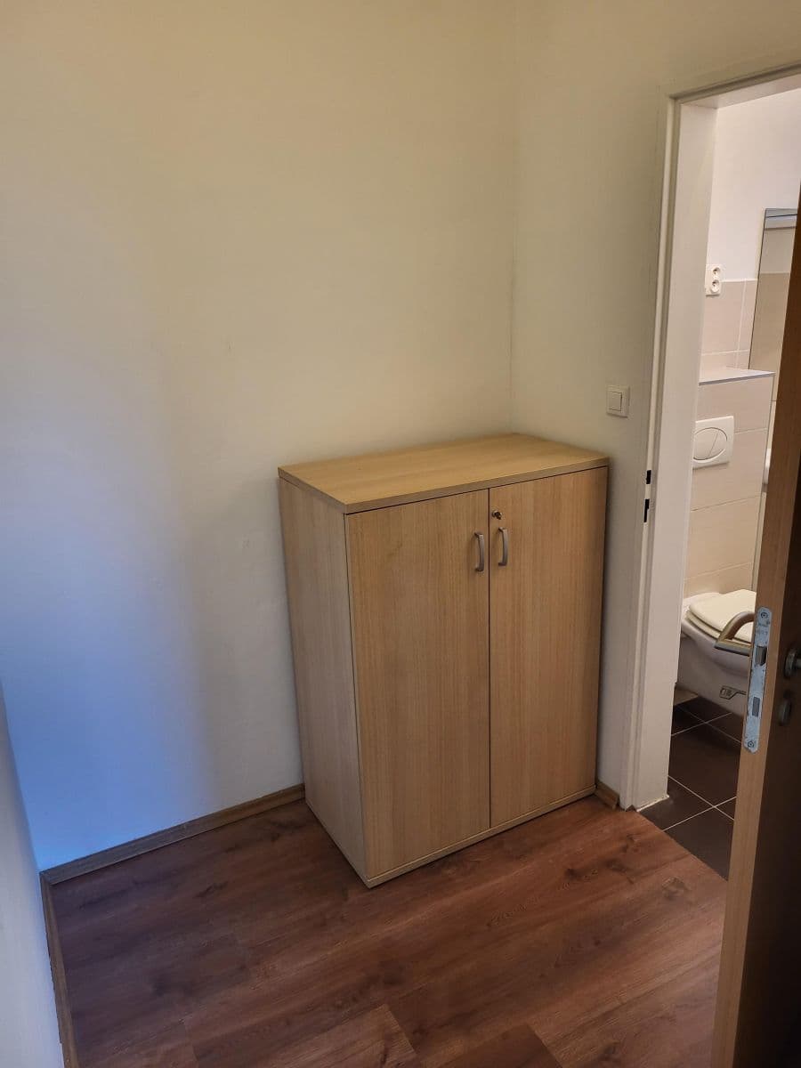 Pronájem bytu 1+kk 30 m², Baarova, Praha, Praha Pronájem bytu 1+kk 30 m², Baarova, Praha, Praha