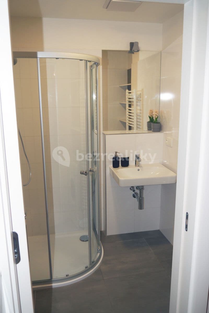 Pronájem bytu 2+kk 42 m², Mlýnská, Brno, Jihomoravský kraj Pronájem bytu 2+kk 42 m², Mlýnská, Brno, Jihomoravský kraj