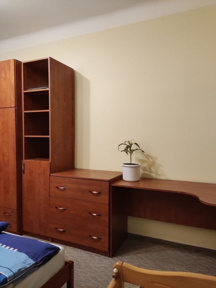 Pronájem bytu 2+1 66 m², Jeseniova, Praha, Praha Pronájem bytu 2+1 66 m², Jeseniova, Praha, Praha