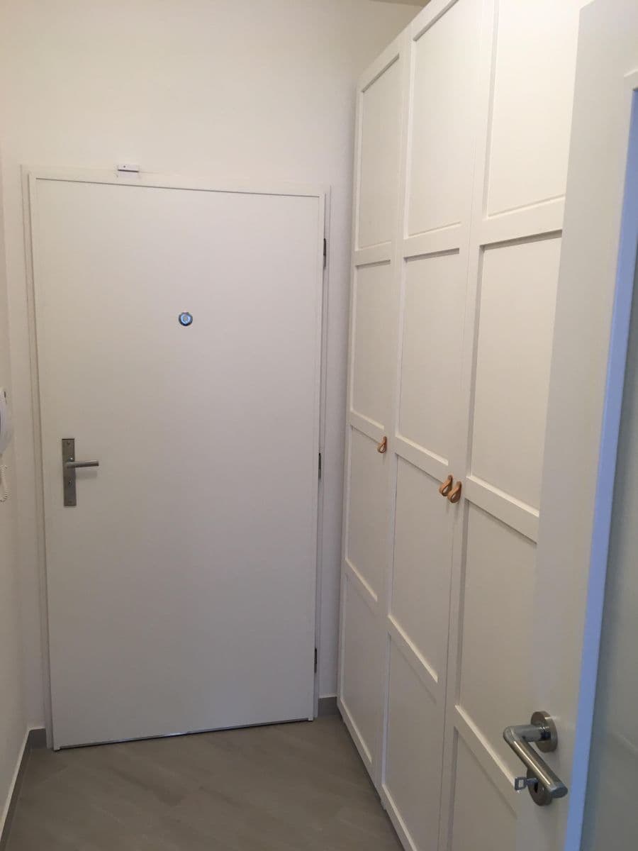 Pronájem bytu 1+kk 85 m², Františka Diviše, Praha, Praha Pronájem bytu 1+kk 85 m², Františka Diviše, Praha, Praha