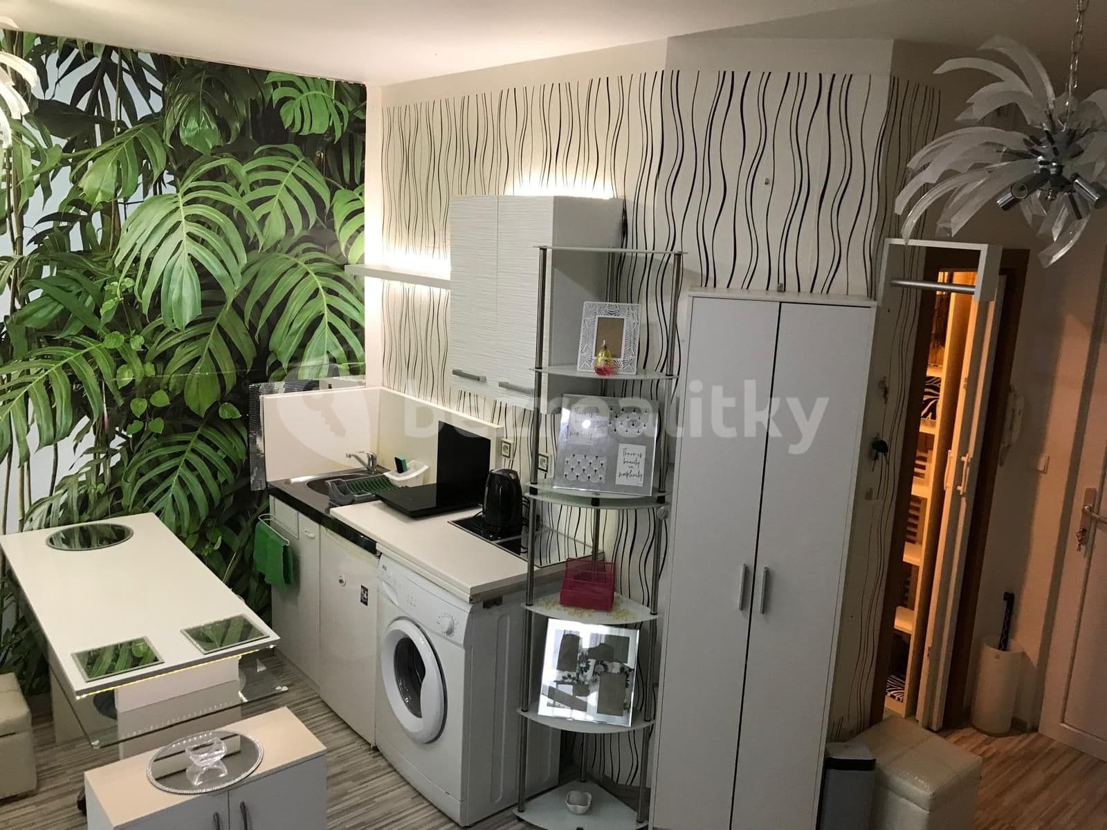 Pronájem bytu 1+kk 35 m², Koterovská, Plzeň, Plzeňský kraj Pronájem bytu 1+kk 35 m², Koterovská, Plzeň, Plzeňský kraj