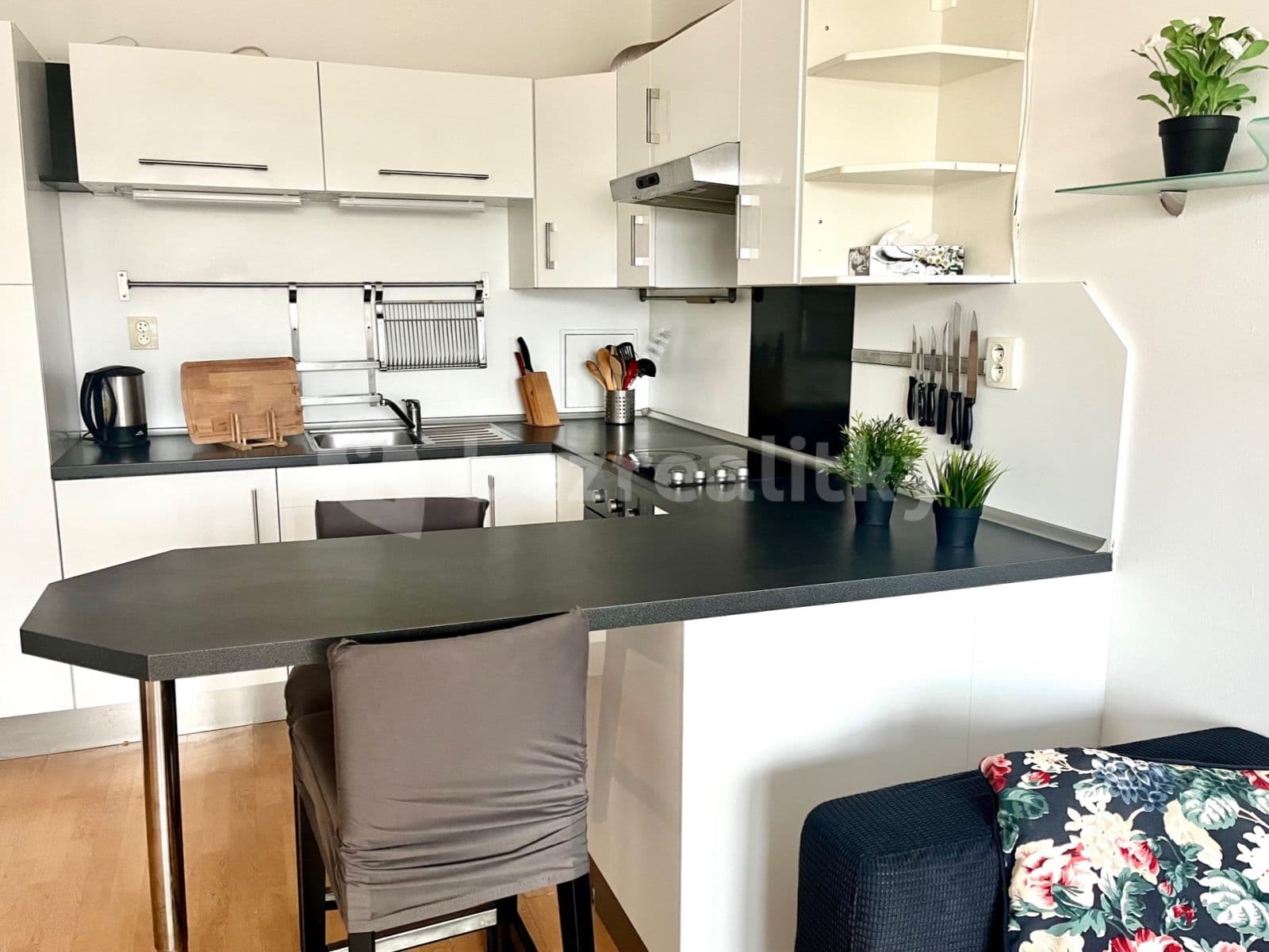 Pronájem bytu 2+kk 50 m², Černochova, Praha, Praha Pronájem bytu 2+kk 50 m², Černochova, Praha, Praha