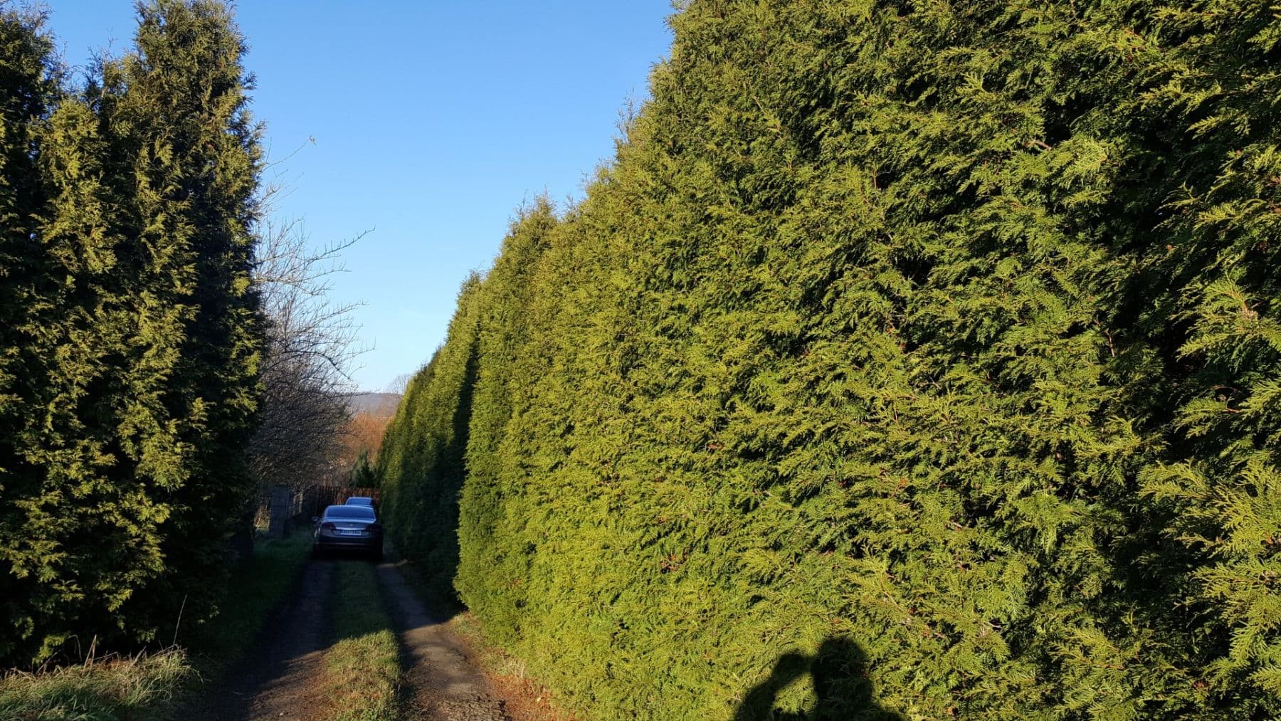 Prodej pozemku 1.431 m², Řehlovice, Ústecký kraj Prodej pozemku 1.431 m², Řehlovice, Ústecký kraj
