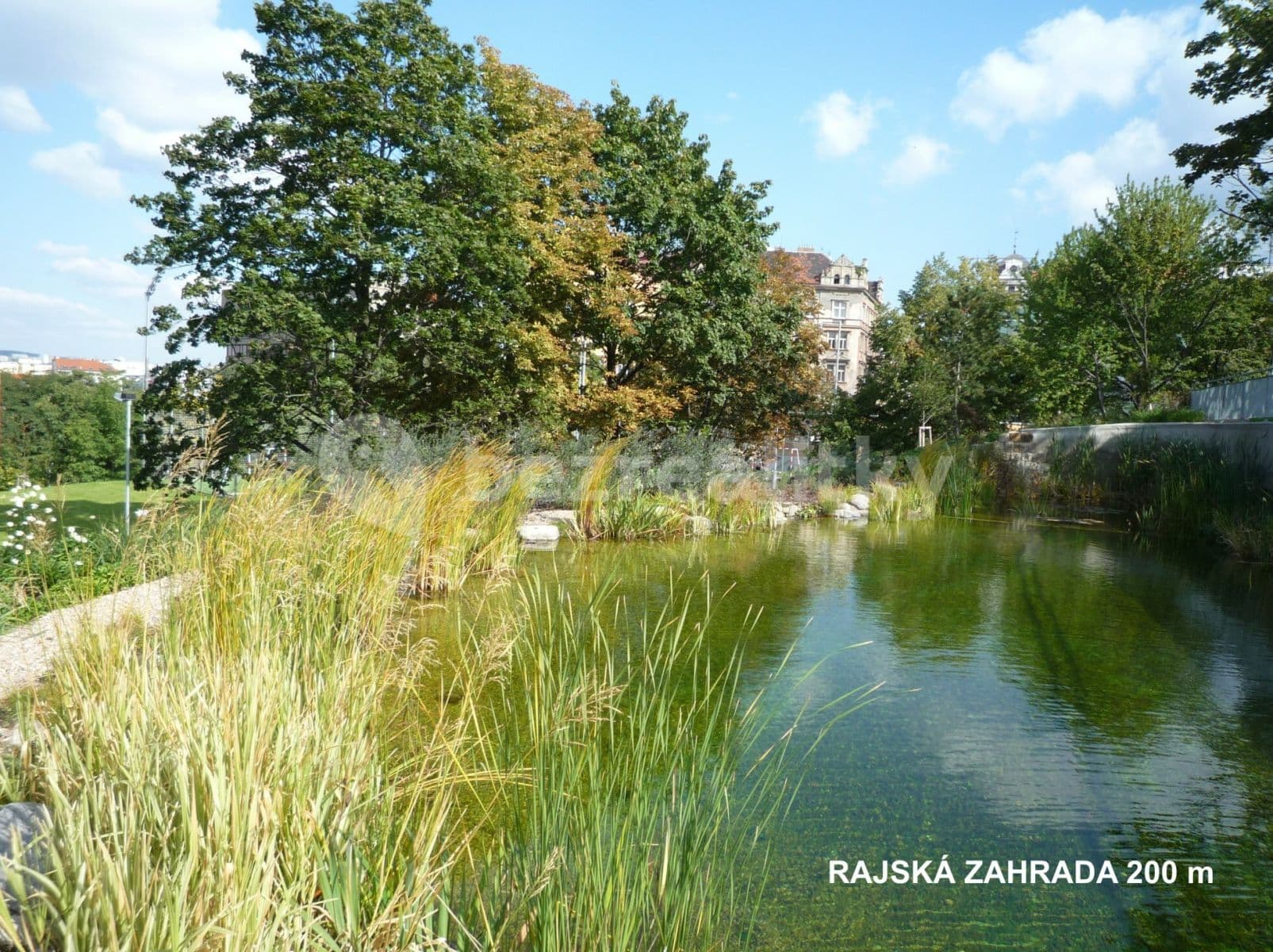 Pronájem bytu 2+kk 37 m², Ježkova, Praha, Praha Pronájem bytu 2+kk 37 m², Ježkova, Praha, Praha