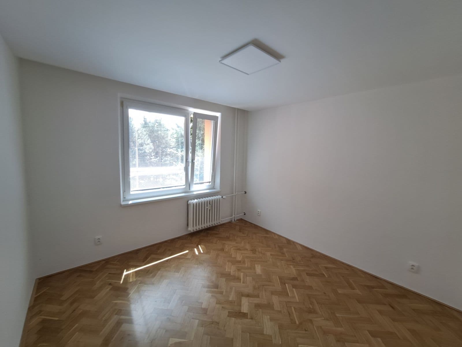 Pronájem bytu 3+1 74 m², Foerstrova, Brno, Jihomoravský kraj Pronájem bytu 3+1 74 m², Foerstrova, Brno, Jihomoravský kraj