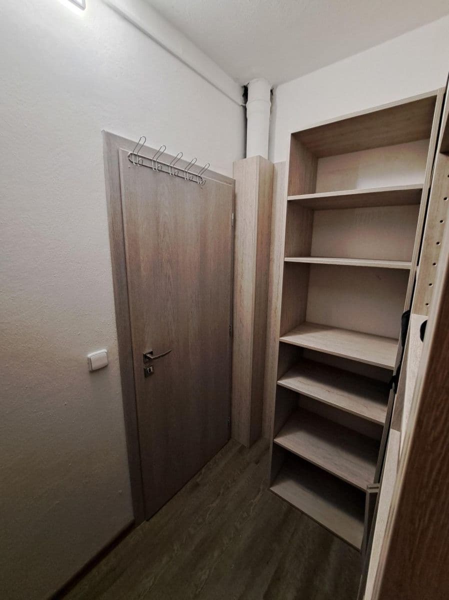 Pronájem bytu 3+1 74 m², Foerstrova, Brno, Jihomoravský kraj Pronájem bytu 3+1 74 m², Foerstrova, Brno, Jihomoravský kraj