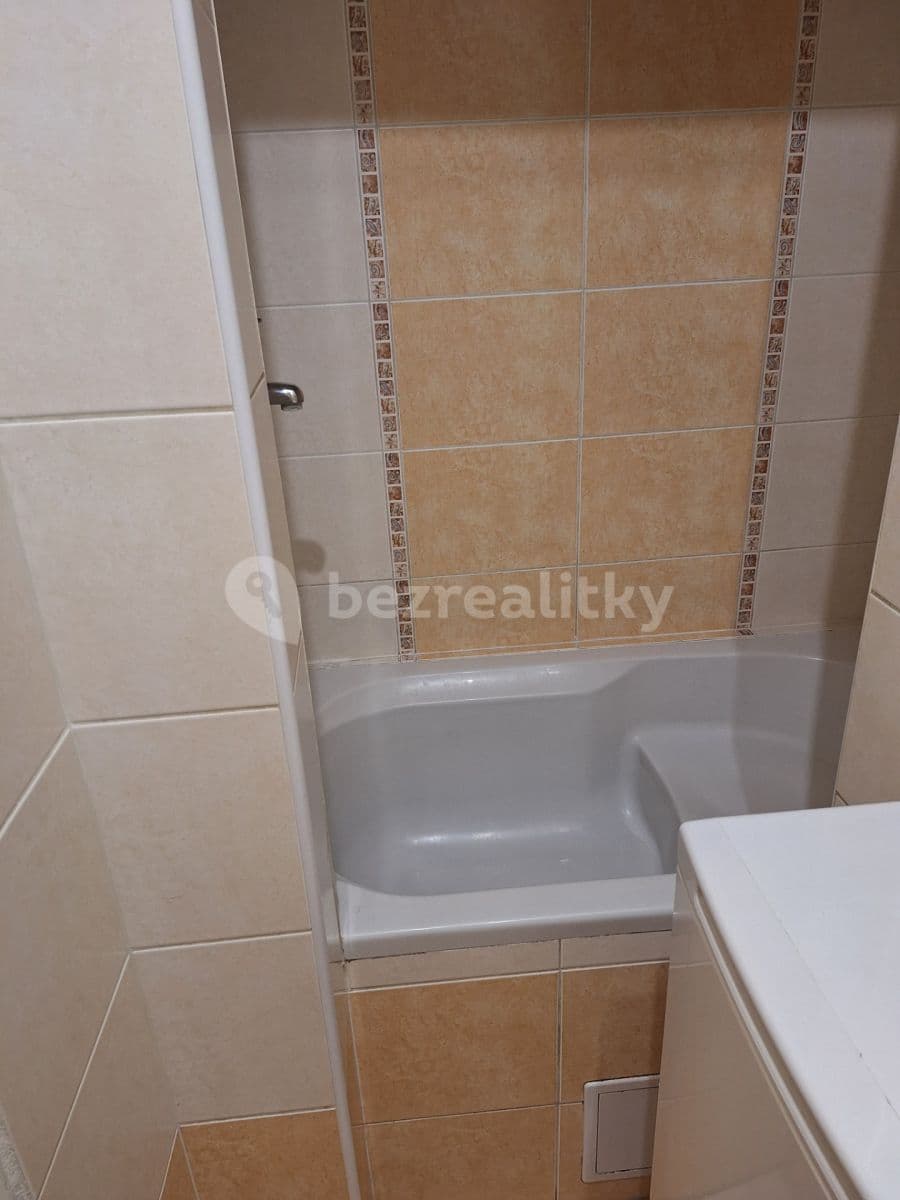 Pronájem bytu 1+kk 26 m², Borská, Plzeň, Plzeňský kraj Pronájem bytu 1+kk 26 m², Borská, Plzeň, Plzeňský kraj